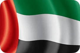 UAE flag